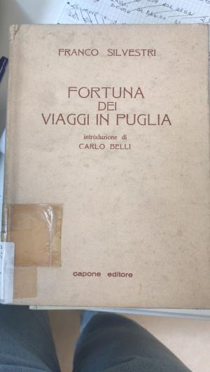 Fortuna dei viaggi in Puglia